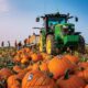 Pumpkin Patches to Visit This Fall