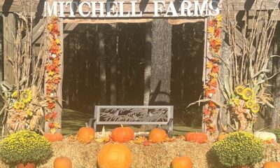 The Legacy of Mitchell Farms in Collins