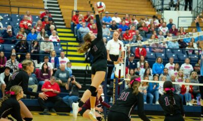 Reign Of Gold: OLA Claims 17th State Volleyball Title, Third In A Row