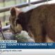 Stone County Fair celebrating 107 years