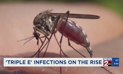 ‘Triple E’ infections on the rise