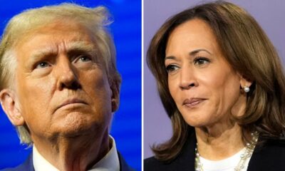 VP Kamala Harris, former President Donald Trump await 2024 Election results