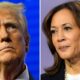 VP Kamala Harris, former President Donald Trump await 2024 Election results