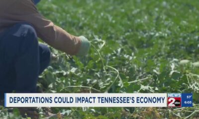 Deportations could affect Tennessee's economy