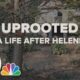 Uprooted - A Life After Helene