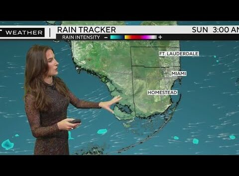 South Florida weather for Saturday11/16/24 9AM