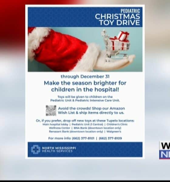 Interview: NMHS hosting Christmas toy drive