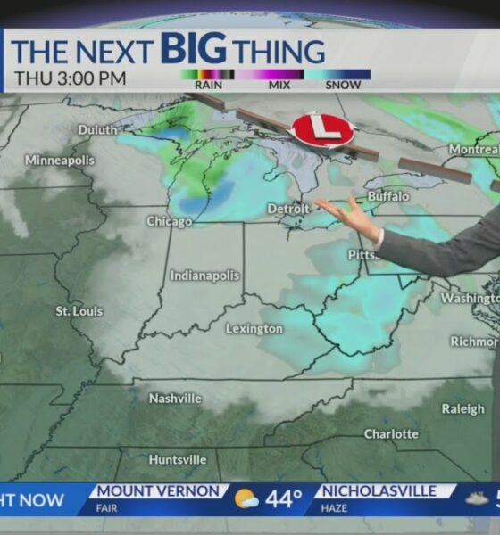 Morning weather forecast: 11/18/2024