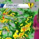 Rain and storms in Alabama's forecast with gusty winds at times of Tuesday, The weather turns col...