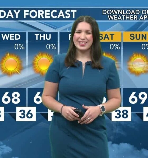 Today's Weather - Tori Alvarado - November 19th, 2024