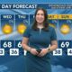 Today's Weather - Tori Alvarado - November 19th, 2024