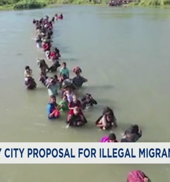 Sanctuary city proposal for undocumented immigrants