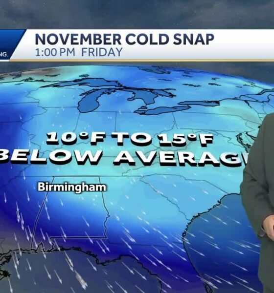 Alabama's weather forecast is getting colder, and a widespread frost and freeze is likely by the ...