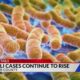 E. coli cases continue to rise following St. Louis County outbreak