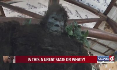 The Bigfoot Museum of Oklahoma started with its own unexplained encounter