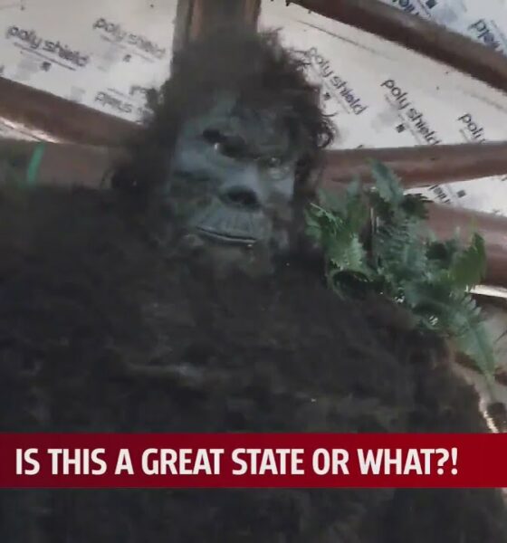 The Bigfoot Museum of Oklahoma started with its own unexplained encounter