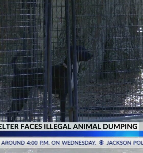 Jones County animal shelter warns against dumping pets