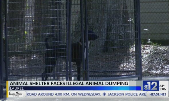 Jones County animal shelter warns against dumping pets