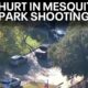 Mesquite park shooting leaves 2 young men injured