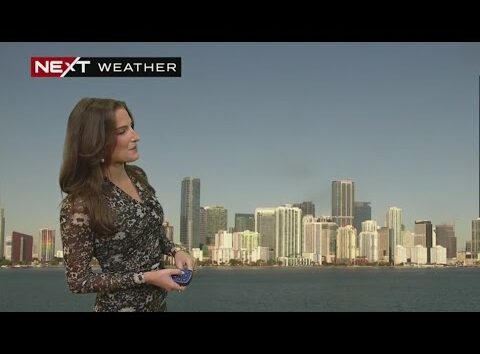 South Florida weather for Saturday 11/23/24 9AM