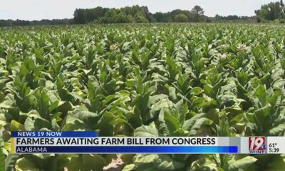 Farmers Awaiting Farm Bill From Congress | November 24, 2024 | WHNT News 19 Sunday Evening