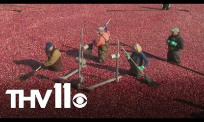 Generations of cranberry farmers keeping the tradition going