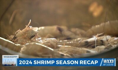 The state of shrimp season on the coast