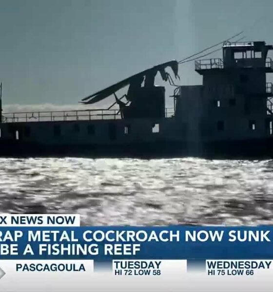 Eye-catching, scrap metal cockroach now sunk as fishing reef in Gulf of Mexico