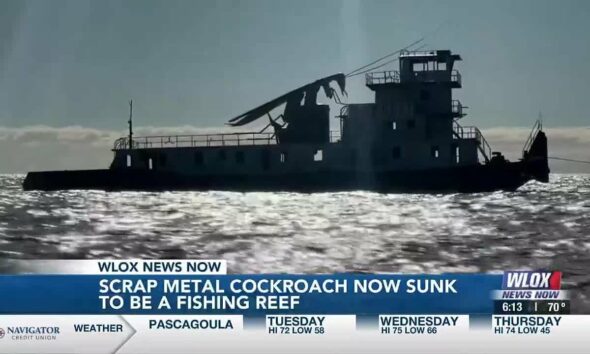 Eye-catching, scrap metal cockroach now sunk as fishing reef in Gulf of Mexico