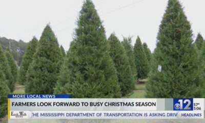 Mississippi Christmas tree farmers look forward to busy season