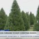 Mississippi Christmas tree farmers look forward to busy season