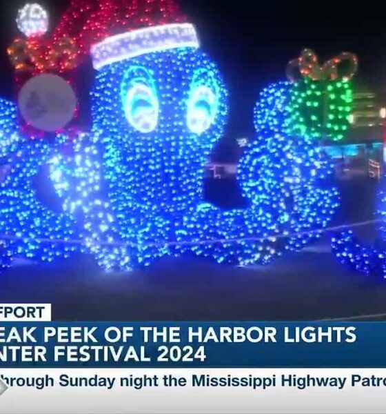 Harbor Lights Winter Festival in Gulfport brightens up the holidays