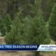 The Christmas tree season has begun for Kazery Farms