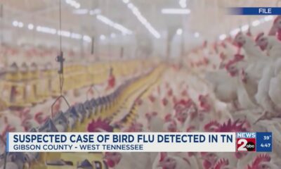 Suspected case of bird flu detected in TN