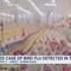 Suspected case of bird flu detected in TN