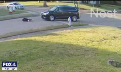 12 year old girl hit by a car... driver backs up and drives away