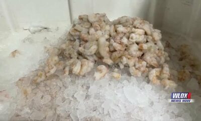 Mississippi Department of Marine Resources lobbying for state to put labels on Gulf shrimp