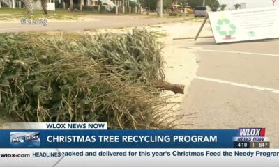 Happening until January 12: Christmas tree recycling in Harrison County