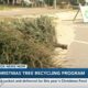 Happening until January 12: Christmas tree recycling in Harrison County