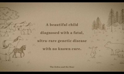 "The Zebra and the Bear" raising awareness about rare disease, treatment options