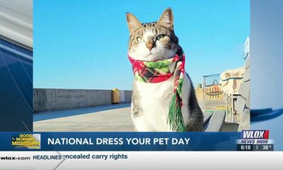 National Dress Up Your Pet Day