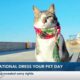 National Dress Up Your Pet Day