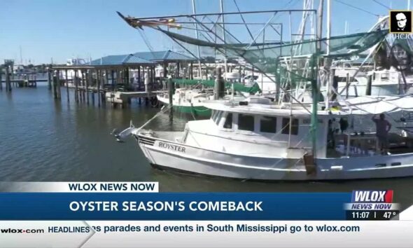 Oyster season is back, but for how long?