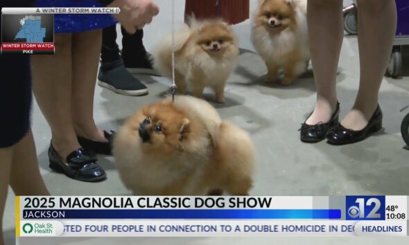 2025 Magnolia Classic AKC Dog Show held in Jackson