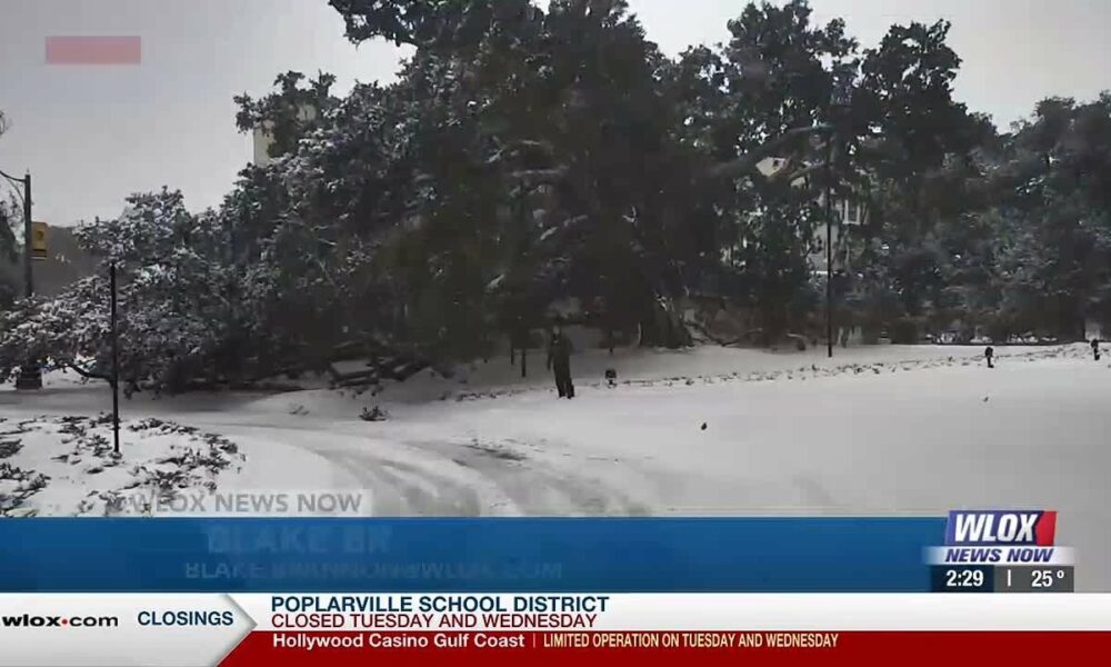 WLOX Snow Day, 2 p.m. (1/21/25)