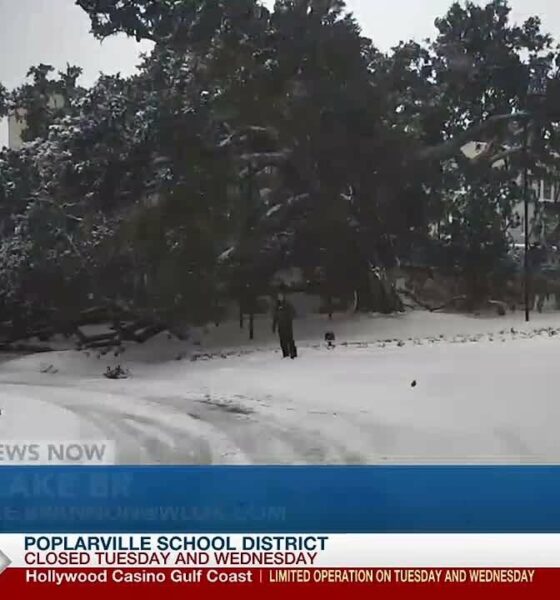 WLOX Snow Day, 2 p.m. (1/21/25)