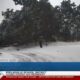 WLOX Snow Day, 2 p.m. (1/21/25)