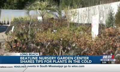 Long Beach garden center shares tips on caring for plants during freezing temperatures