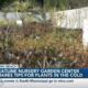 Long Beach garden center shares tips on caring for plants during freezing temperatures