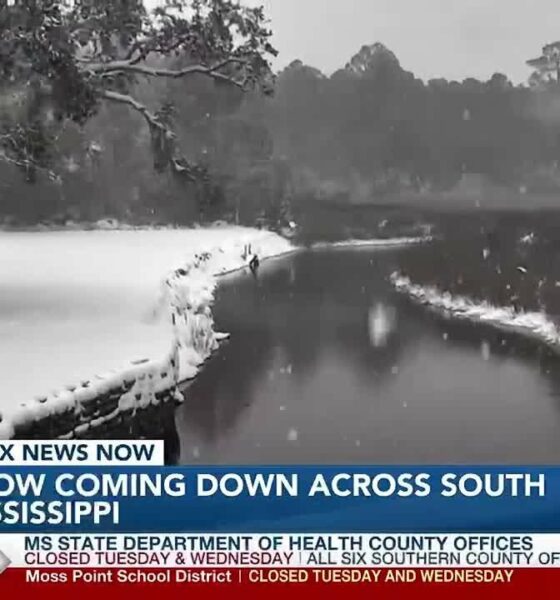 Picturesque winter scenes across South Mississippi